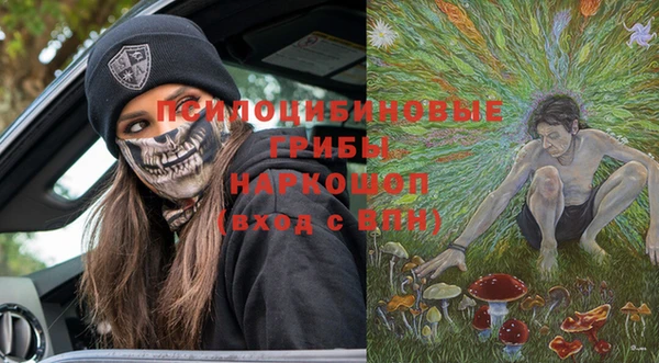 соль курить ск Новодвинск