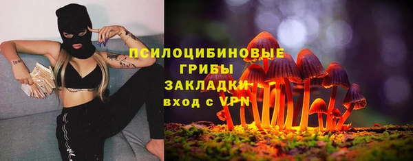 jwh Новозыбков