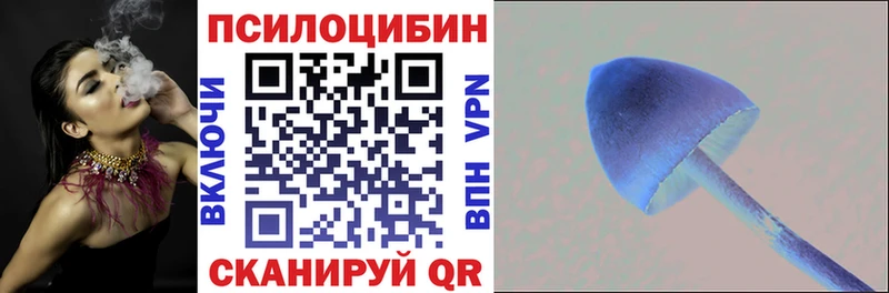 Псилоцибиновые грибы GOLDEN TEACHER  Купить где  Калининград 